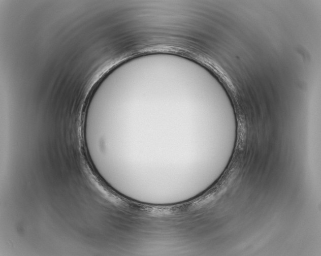 X0000113070890200908281007