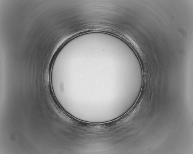 X0000113070891200908281007