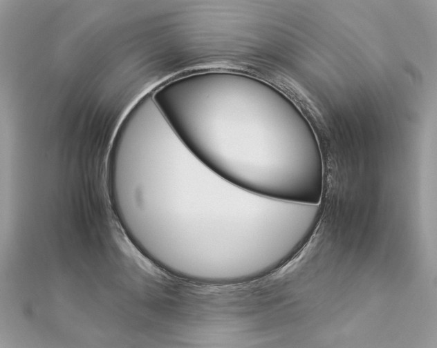 X0000113070892200908281007
