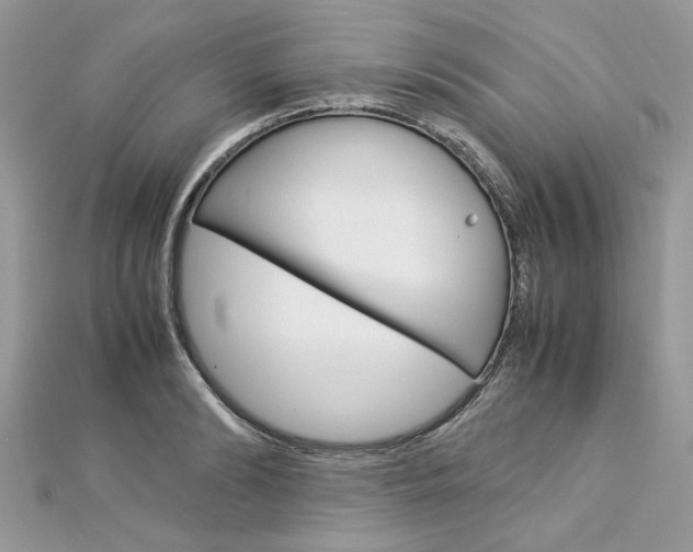 X0000113070894200908281007