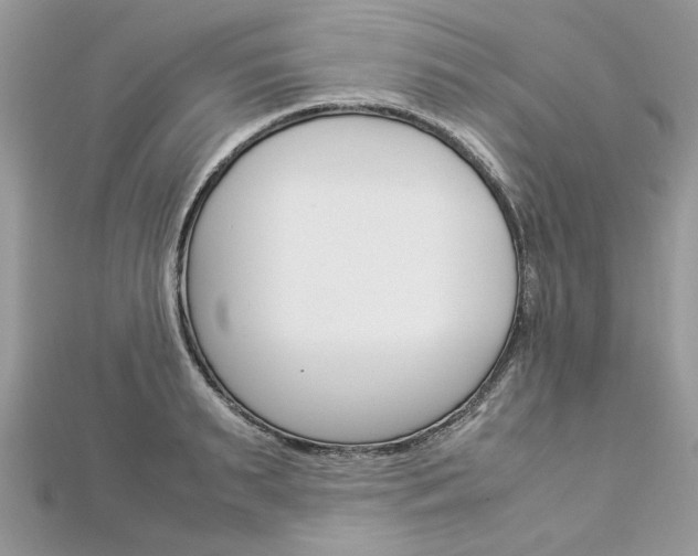 X0000113070895200908281007