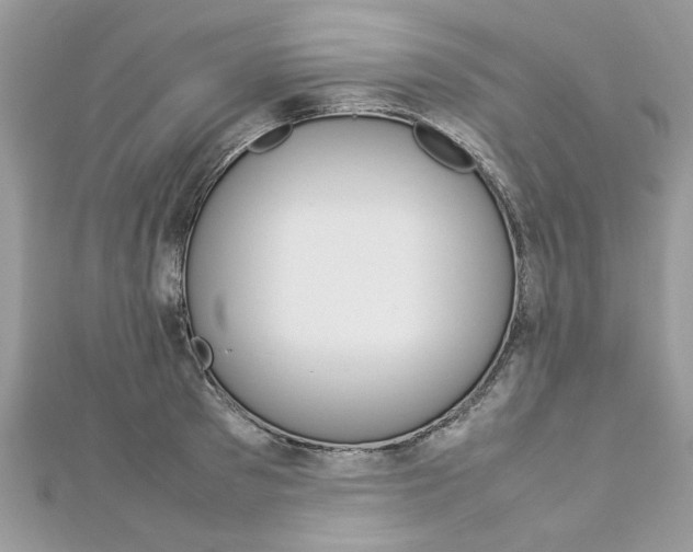 X0000113070897200908281007