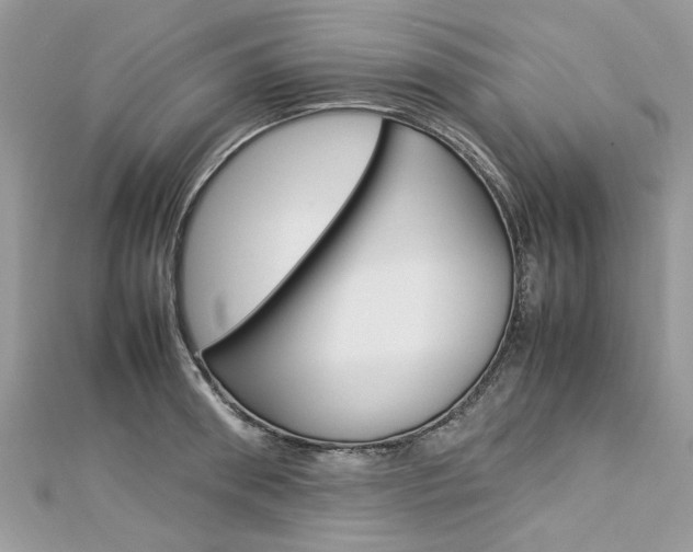 X0000113070898200908281007