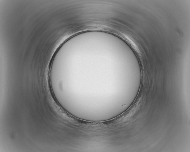 X0000113070899200908281007