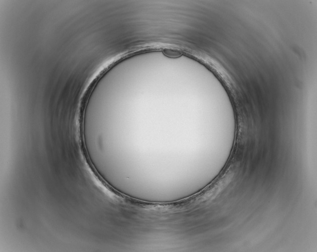 X0000113070902200908281007