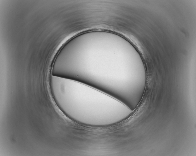 X0000113070903200908281007