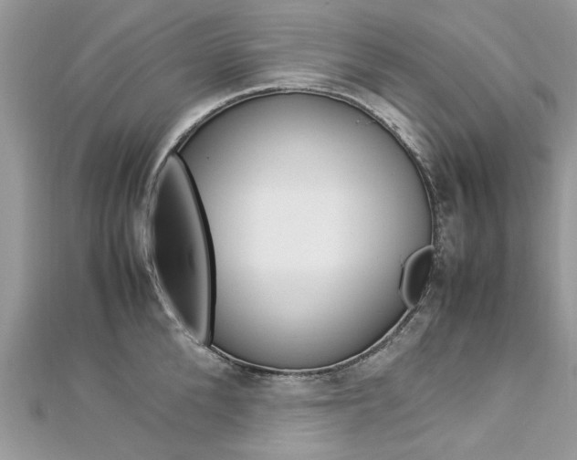 X0000113070904200908281007