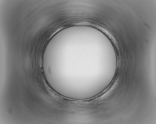 X0000113070905200908281007