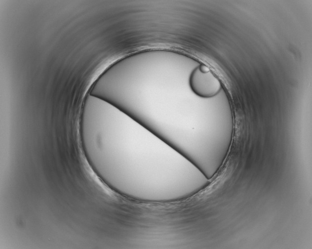X0000113070906200908281007