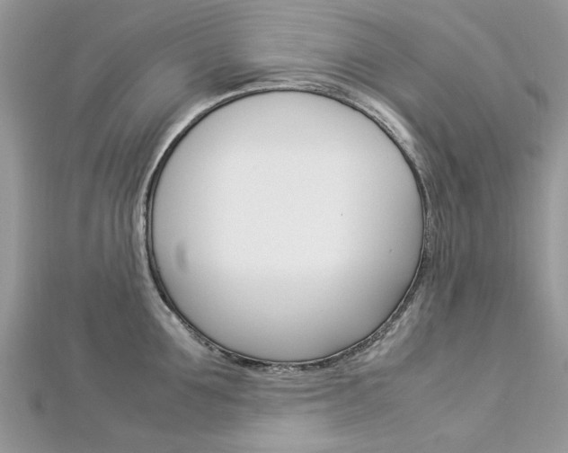 X0000113070907200908281007