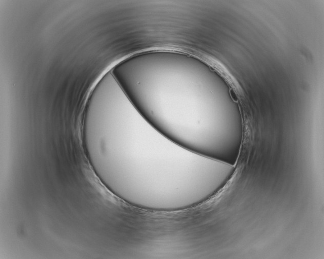 X0000113070908200908281007