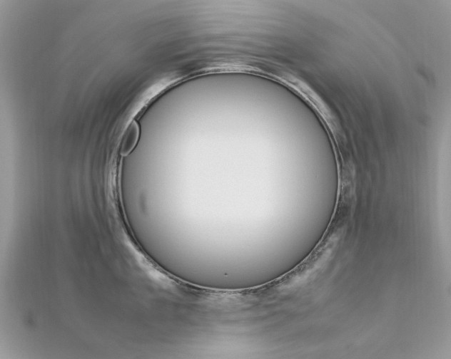 X0000113070909200908281007