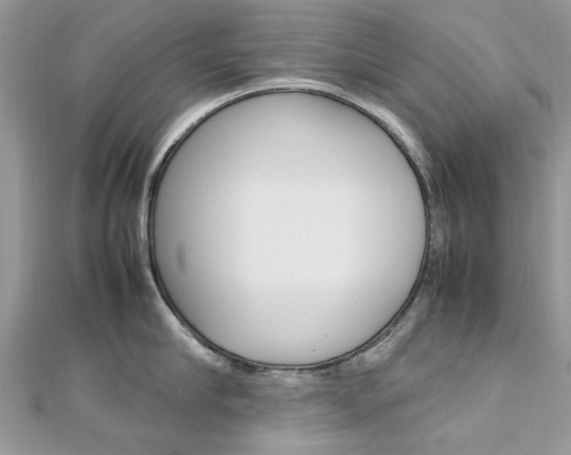 X0000113070910200908281007