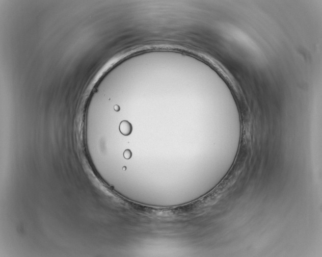 X0000113070911200908281007