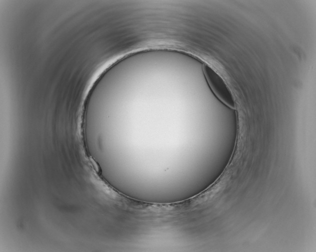 X0000113070912200908281007