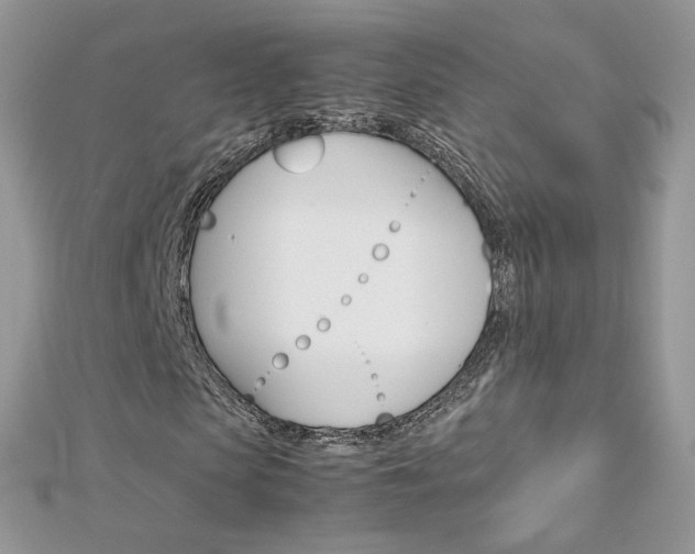 X0000113070913200908281006