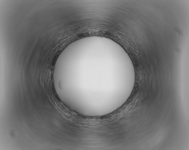 X0000113070914200908281006