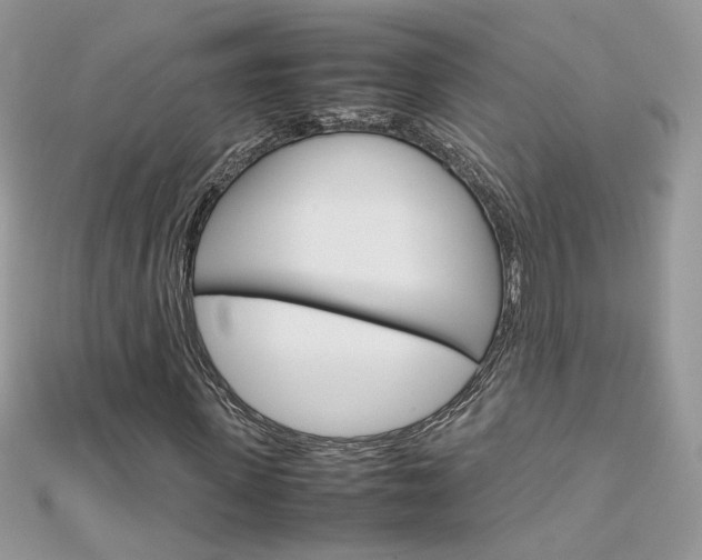 X0000113070915200908281006