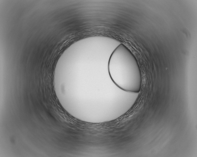 X0000113070916200908281006