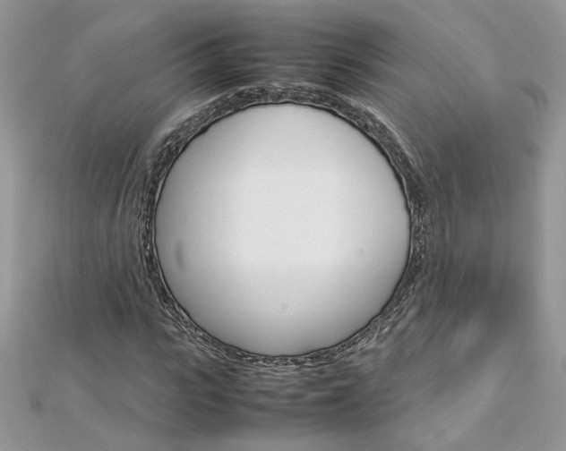 X0000113070919200908281006