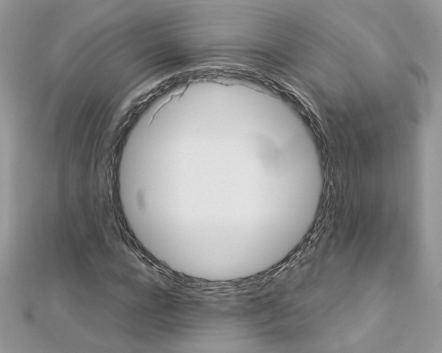 X0000113070920200908281006