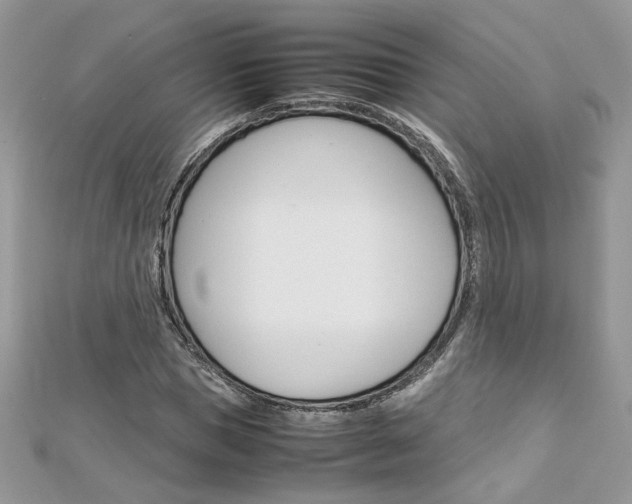 X0000113070921200908281006