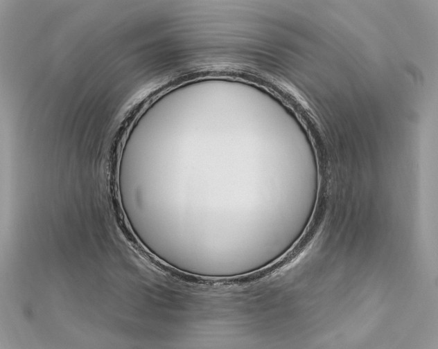 X0000113070922200908281006