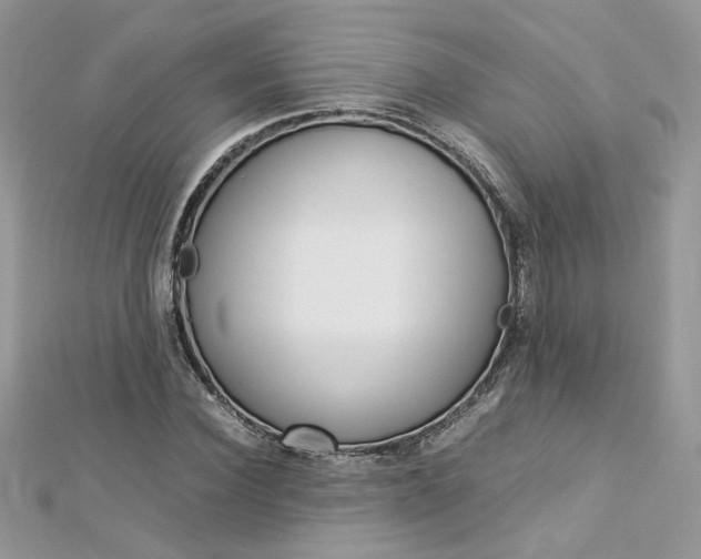 X0000113070924200908281006