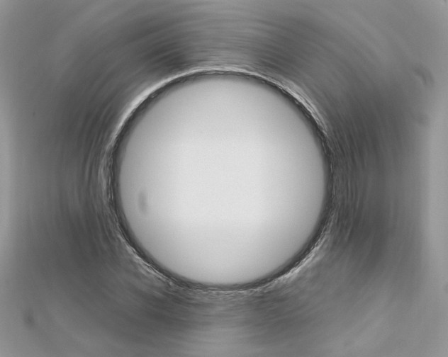 X0000113070926200908281006