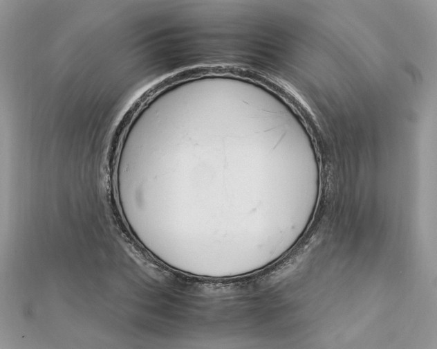 X0000113070927200908281006