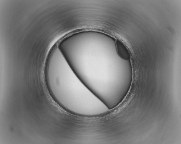 X0000113070928200908281006