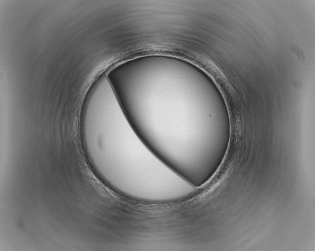 X0000113070930200908281006