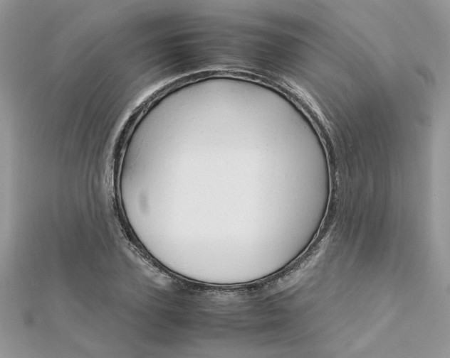 X0000113070931200908281006