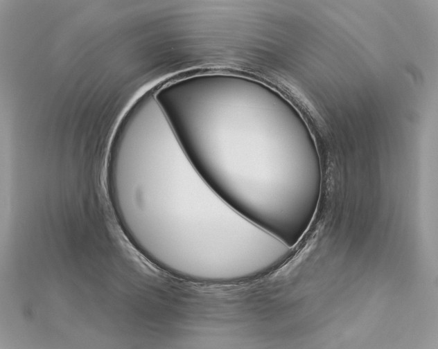 X0000113070932200908281006