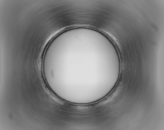 X0000113070933200908281006