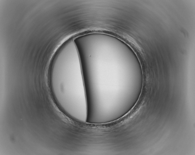 X0000113070934200908281006