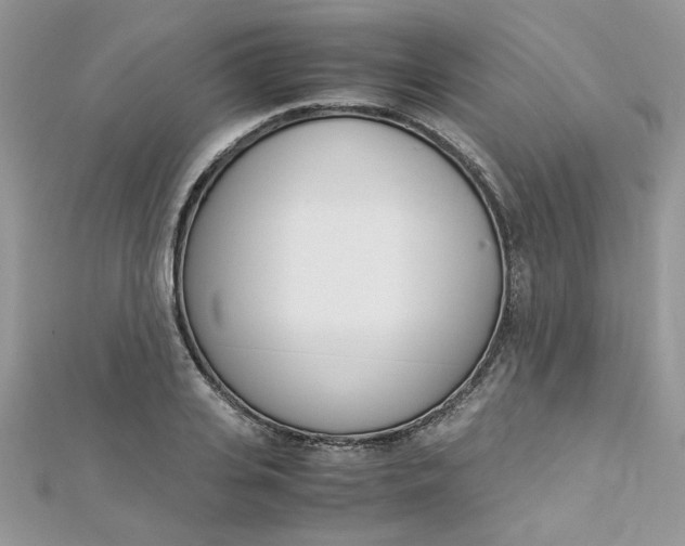 X0000113070935200908281006