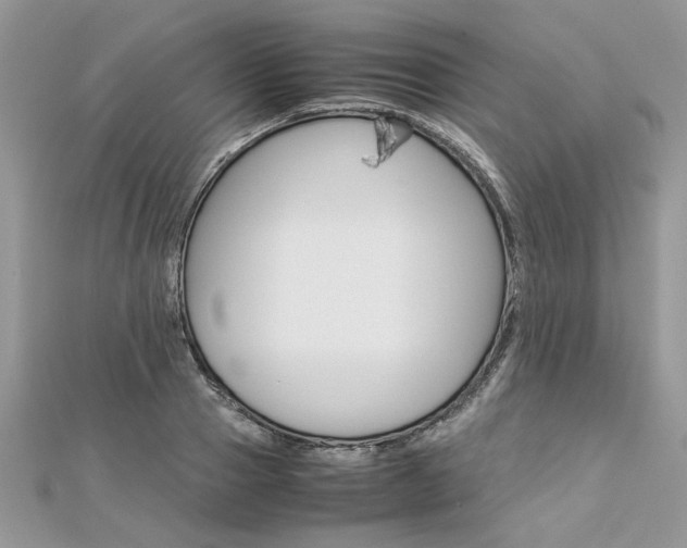 X0000113070937200908281006
