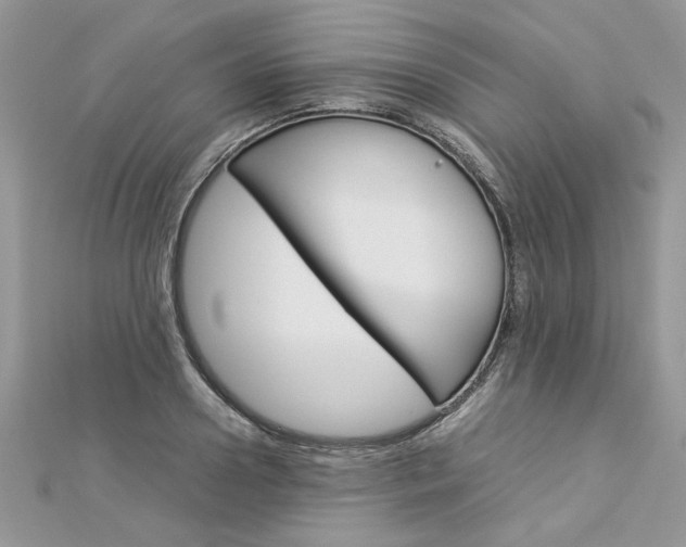 X0000113070938200908281006