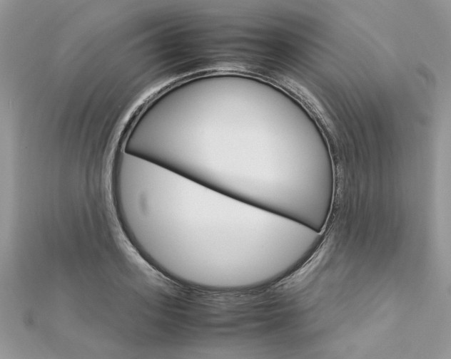 X0000113070939200908281006