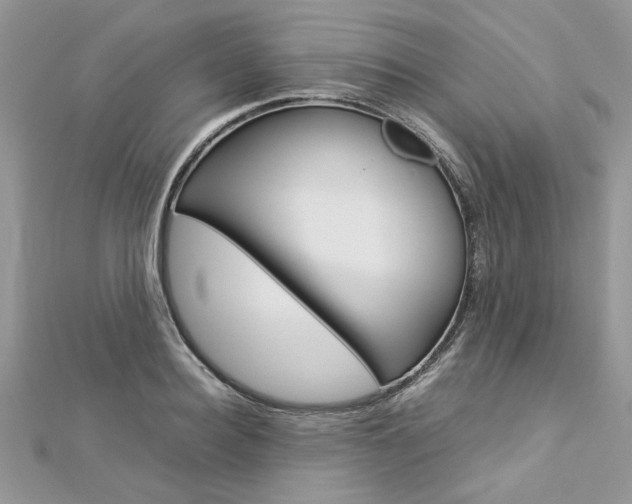 X0000113070940200908281006