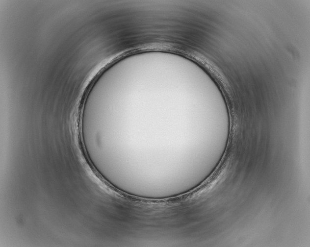 X0000113070941200908281006