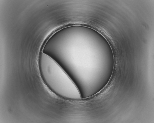 X0000113070942200908281006