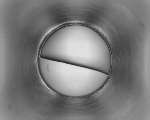 X0000113070943200908281006