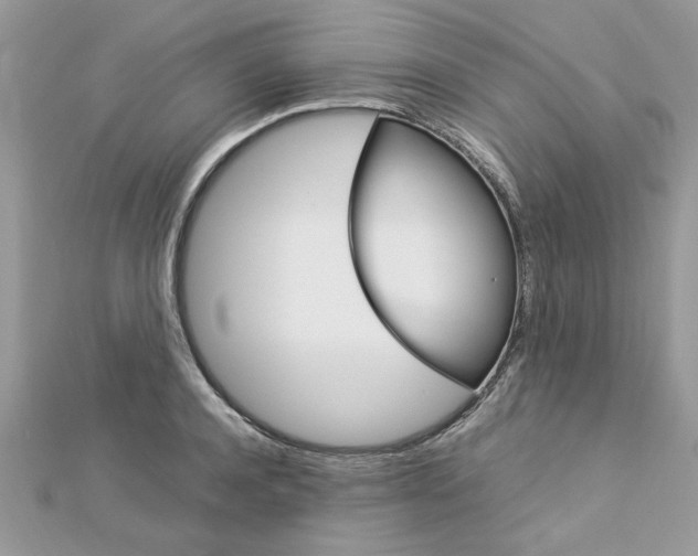 X0000113070944200908281006
