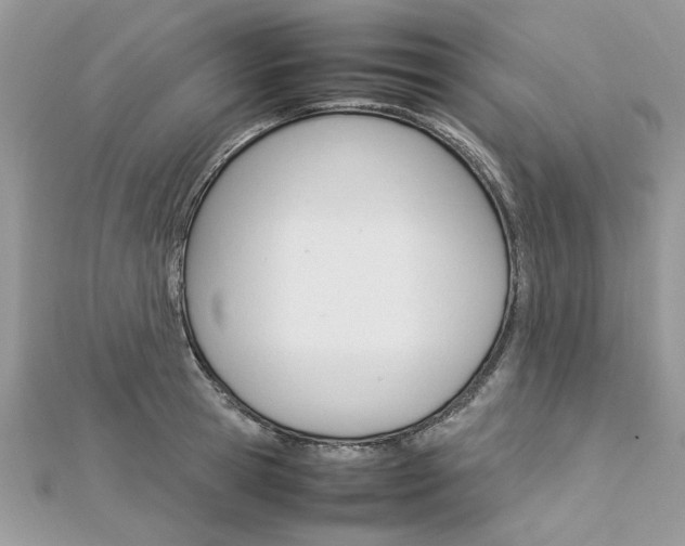 X0000113070945200908281006