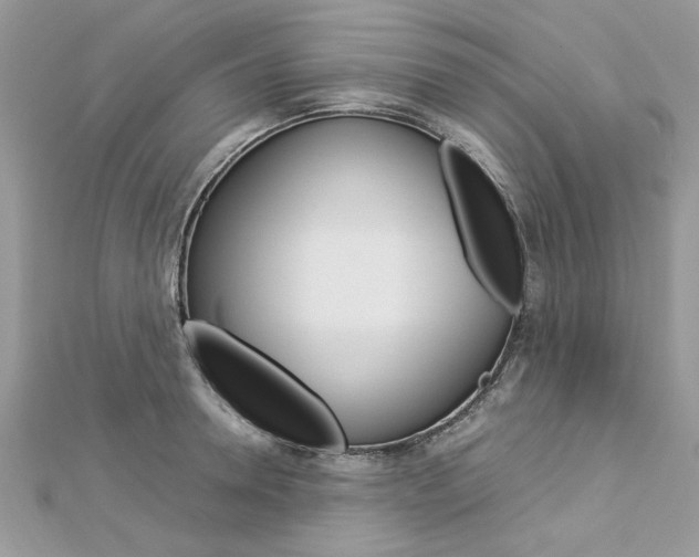X0000113070946200908281006