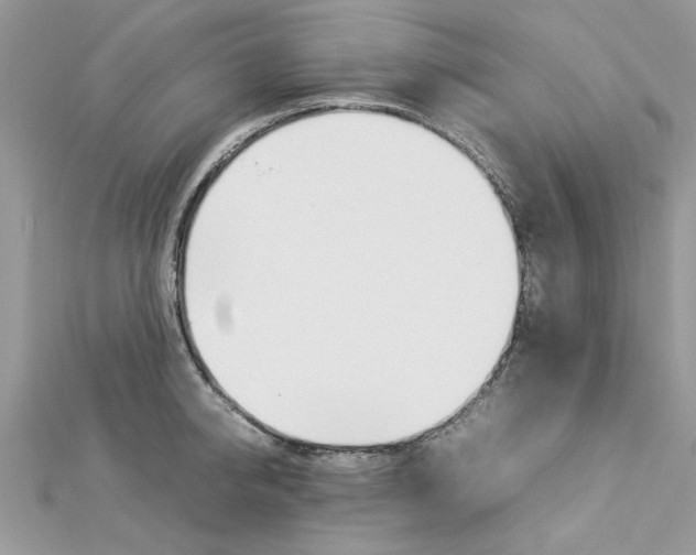 X0000113070950200908281007