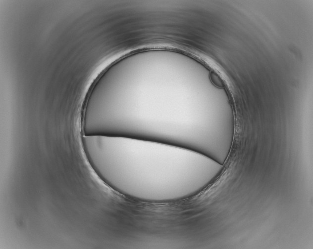 X0000113070951200908281007