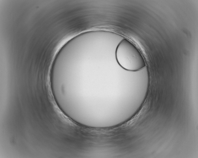 X0000113070952200908281007